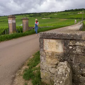 The world's famous Romanee conti vineyard with a vineyard marker on the wall in Burgundy, France.
544505254
romanee-conti, grand cru