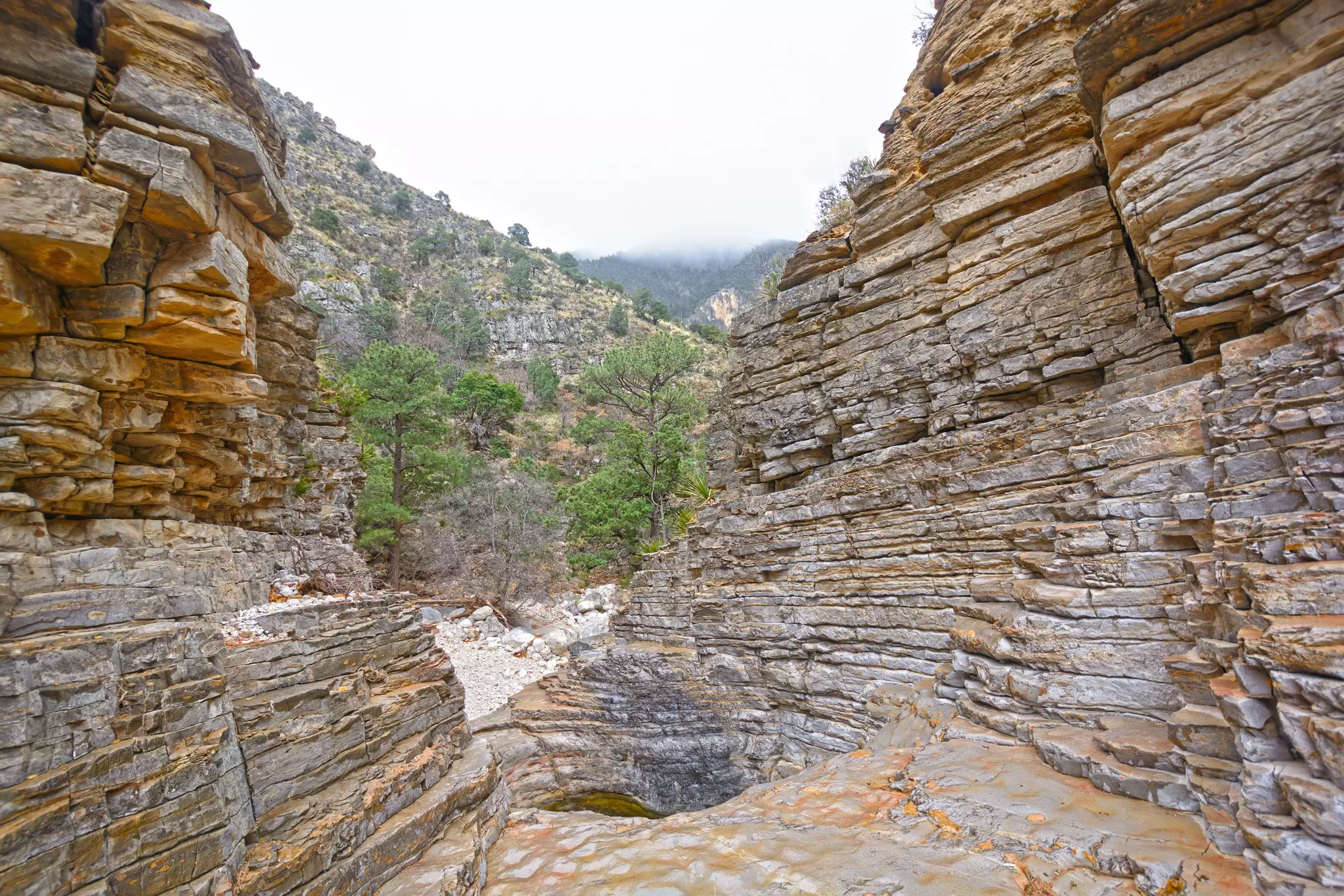 Details in the Devil's Hall in Guadalupe Mountains National park in Texas, License Type: media, Download Time: 2024-10-26T10:50:52.000Z, User: joe_lp, Editorial: false, purchase_order: 56500 - T&R or Kids, job: Global Publishing WIP, client: America's National Parks 2, other: Joe Fullman