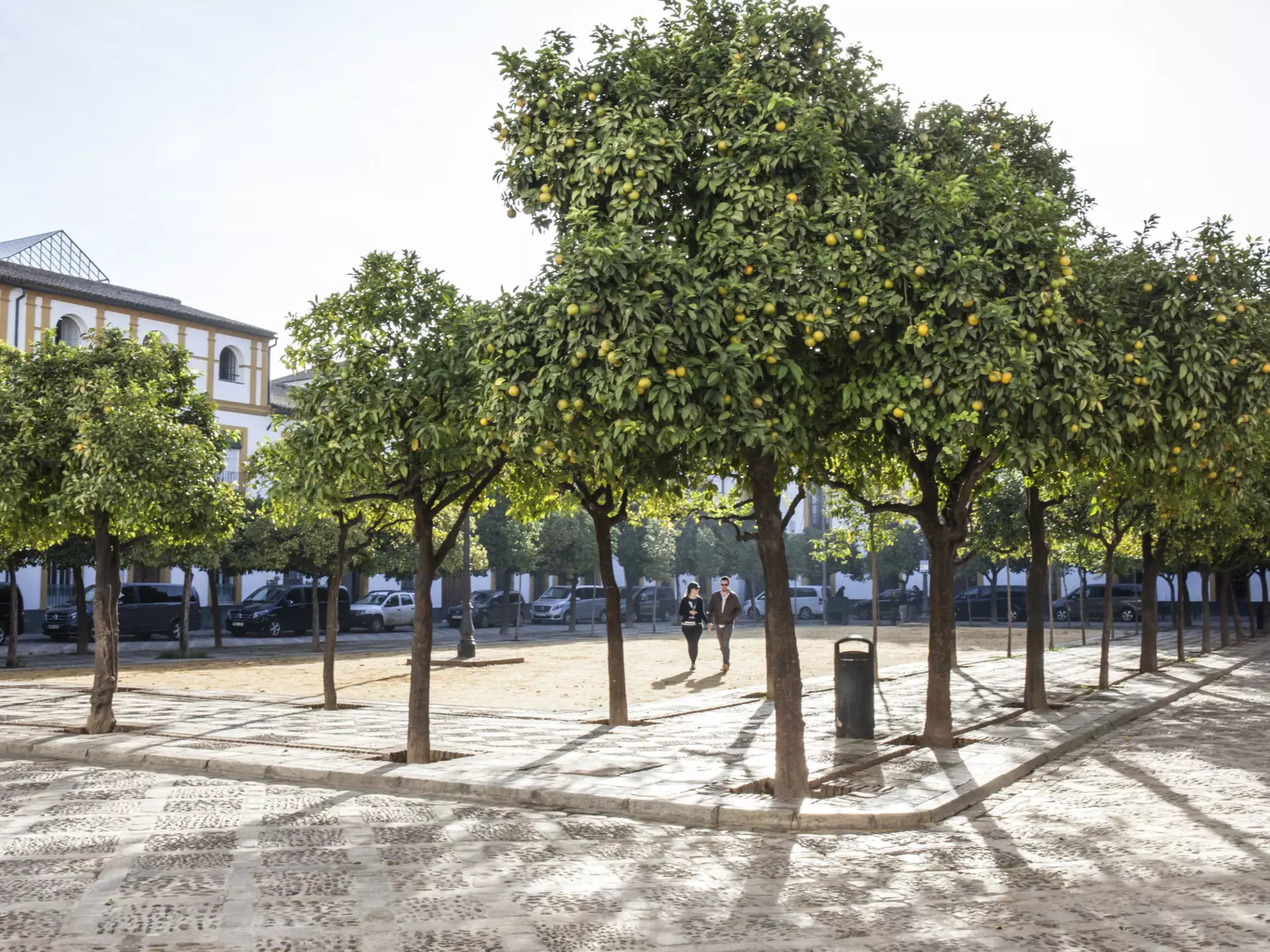 A plaza in the Barrio de Santa Cruz, Seville. Margaret Stepein for Lonely Planet