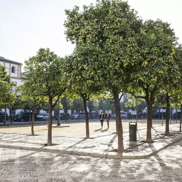 A plaza in the Barrio de Santa Cruz, Seville. Margaret Stepein for Lonely Planet
