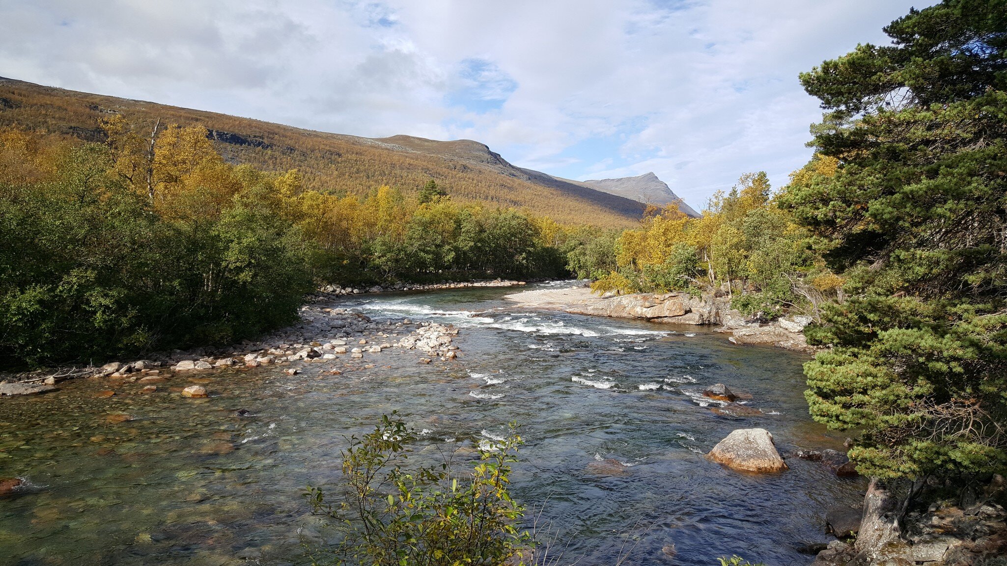 River during autumn at Ovre Dividal National Park Norway; Shutterstock ID 557973985;