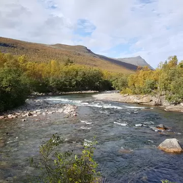 River during autumn at Ovre Dividal National Park Norway; Shutterstock ID 557973985;