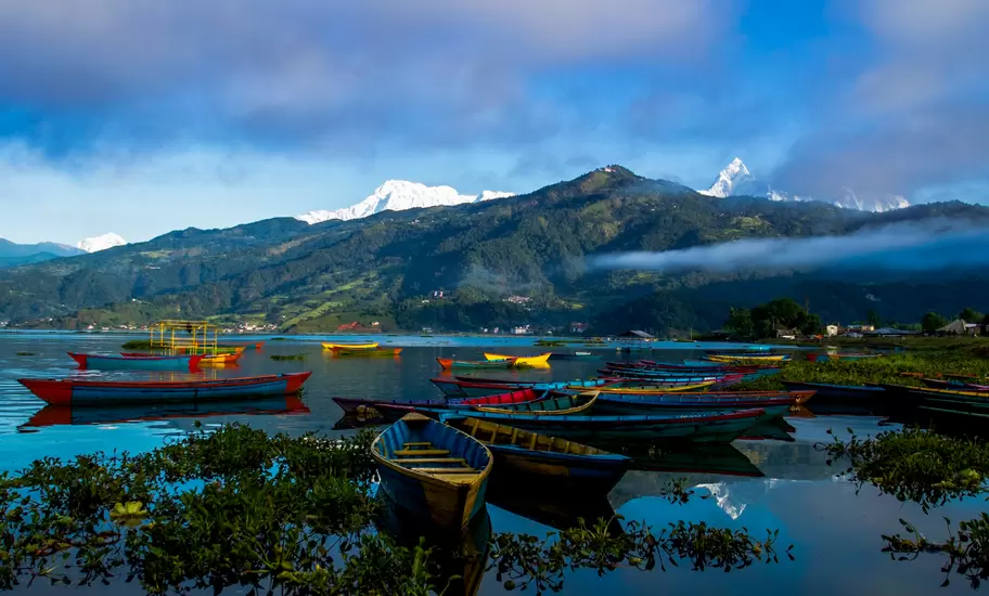 Small wooden boats float at the edge of a lake