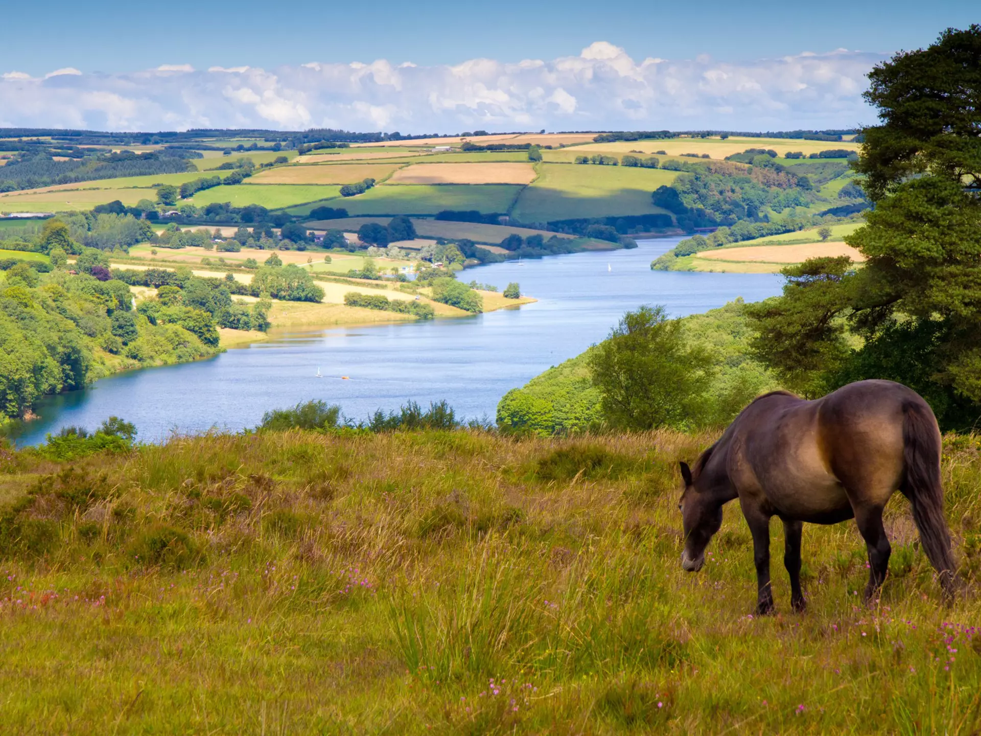 Exmoor pony and Wimbleball Lake at  Exmoor National Park, Somerset.
109617683
agriculture, arable, brendon hills, britain, clatworthy, clatworthy reservoir, countryside, devon, england, exmoor, exmoor national park, exmoor pony, farm, farming, farmland, field, gate, grazing, lake, landscape, meadow, moorland, national, national park, nature north, outdoors, park, path, rural, scenery, scenic, sheep, somerset, tourist destination, trail, tree, uk, united kingdom, walking, weather, wimbleball lake