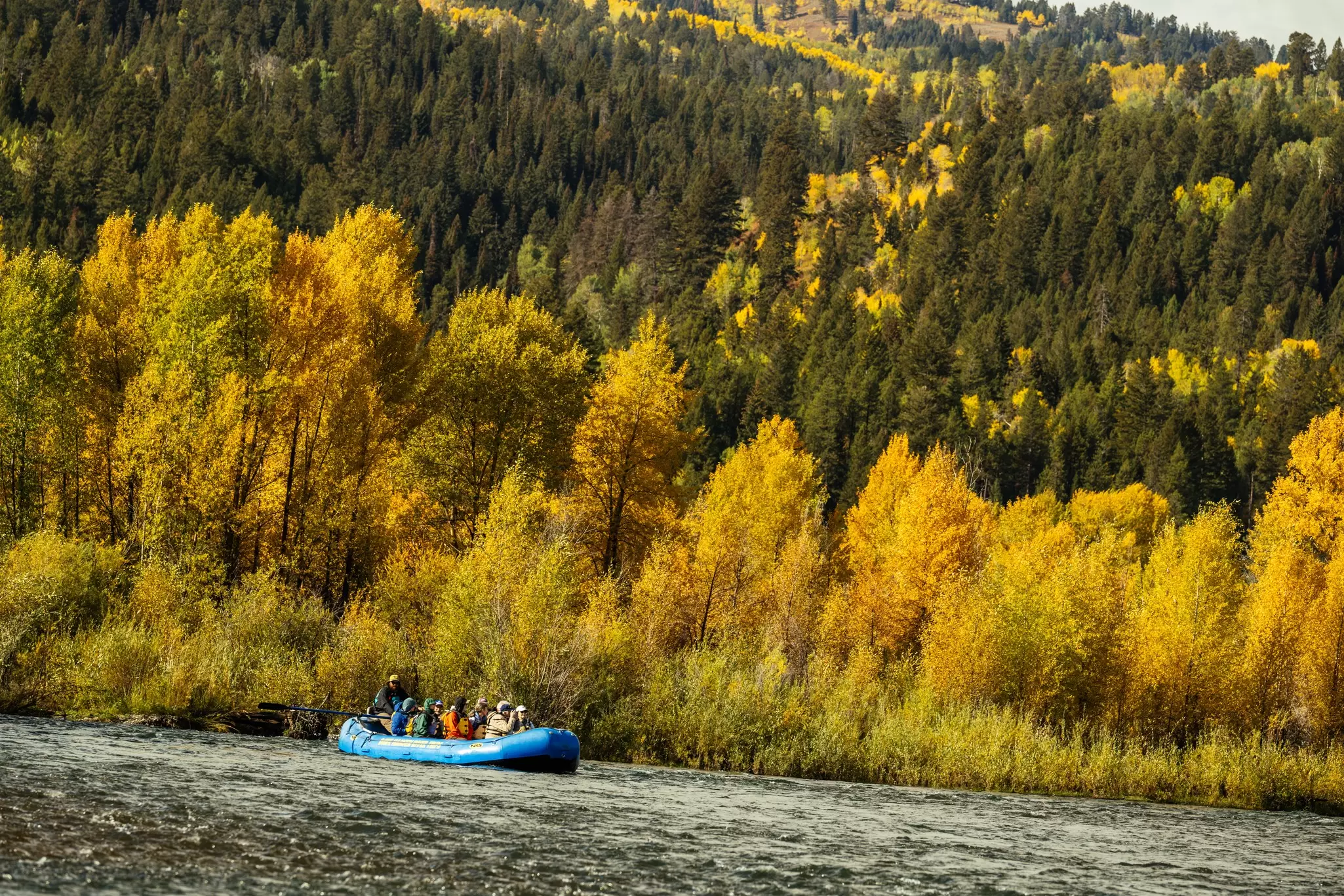 A group of people float in a raft on a river with bright yellow foliage and mountains in the background