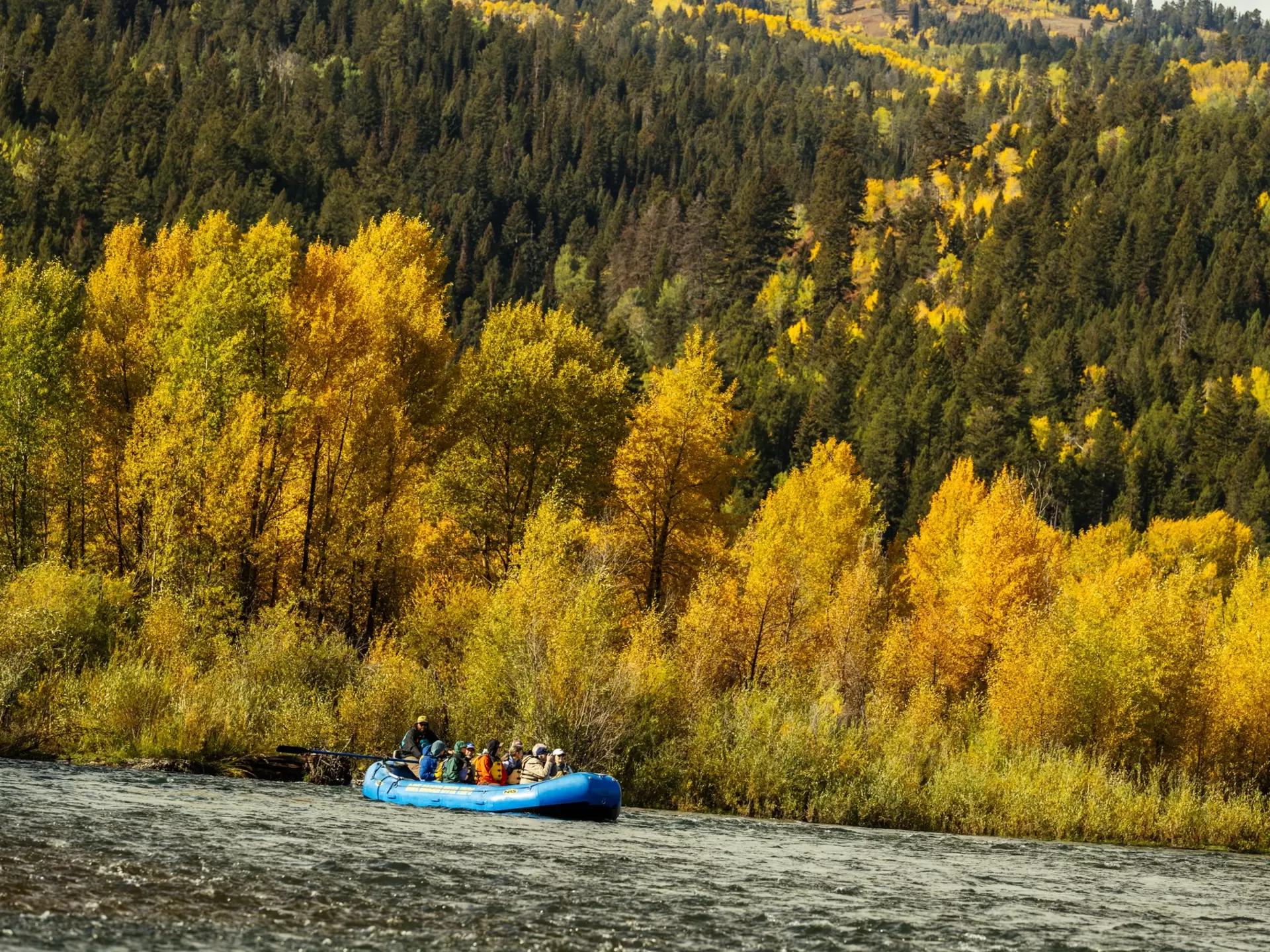 A group of people float in a raft on a river with bright yellow foliage and mountains in the background