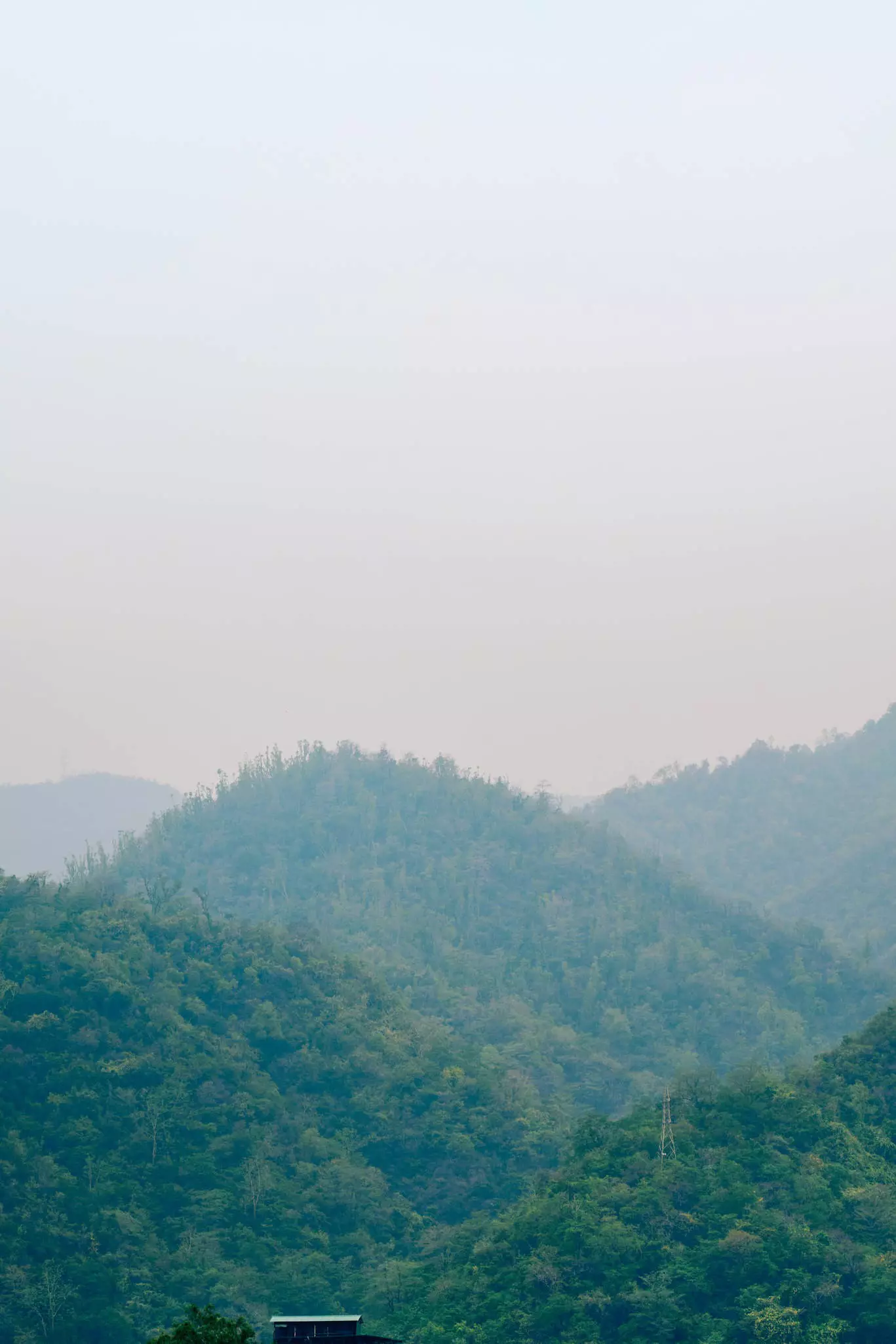 Mountains covered in green trees