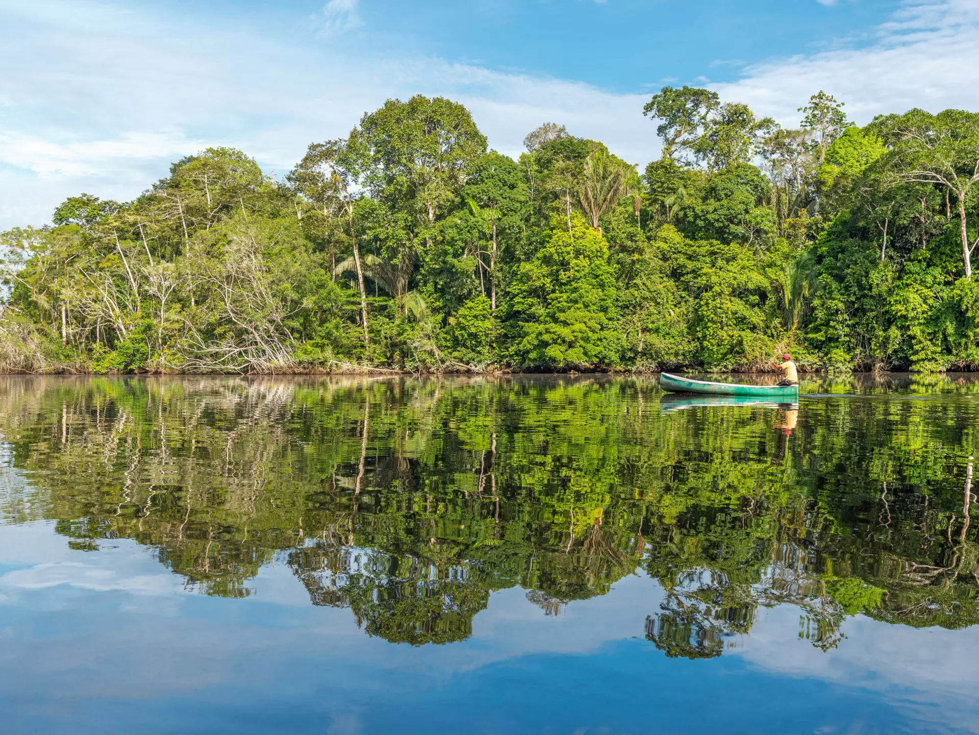 Tributaries of the Amazon flow through Guyana. SL_Photography/Getty Images