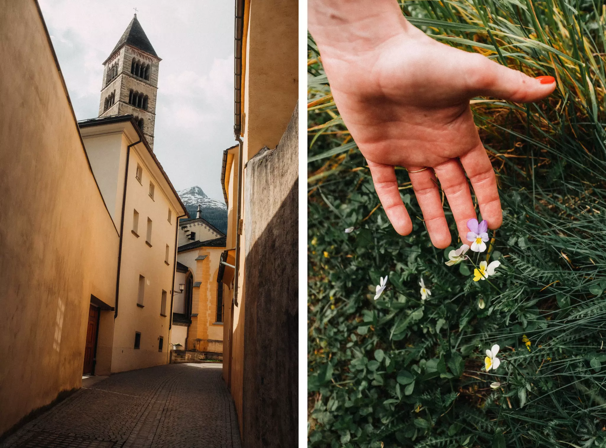 Left, a view of a small street with a church spire in a European town; right, a hand reaching into the frame to touch a violet growing in grass