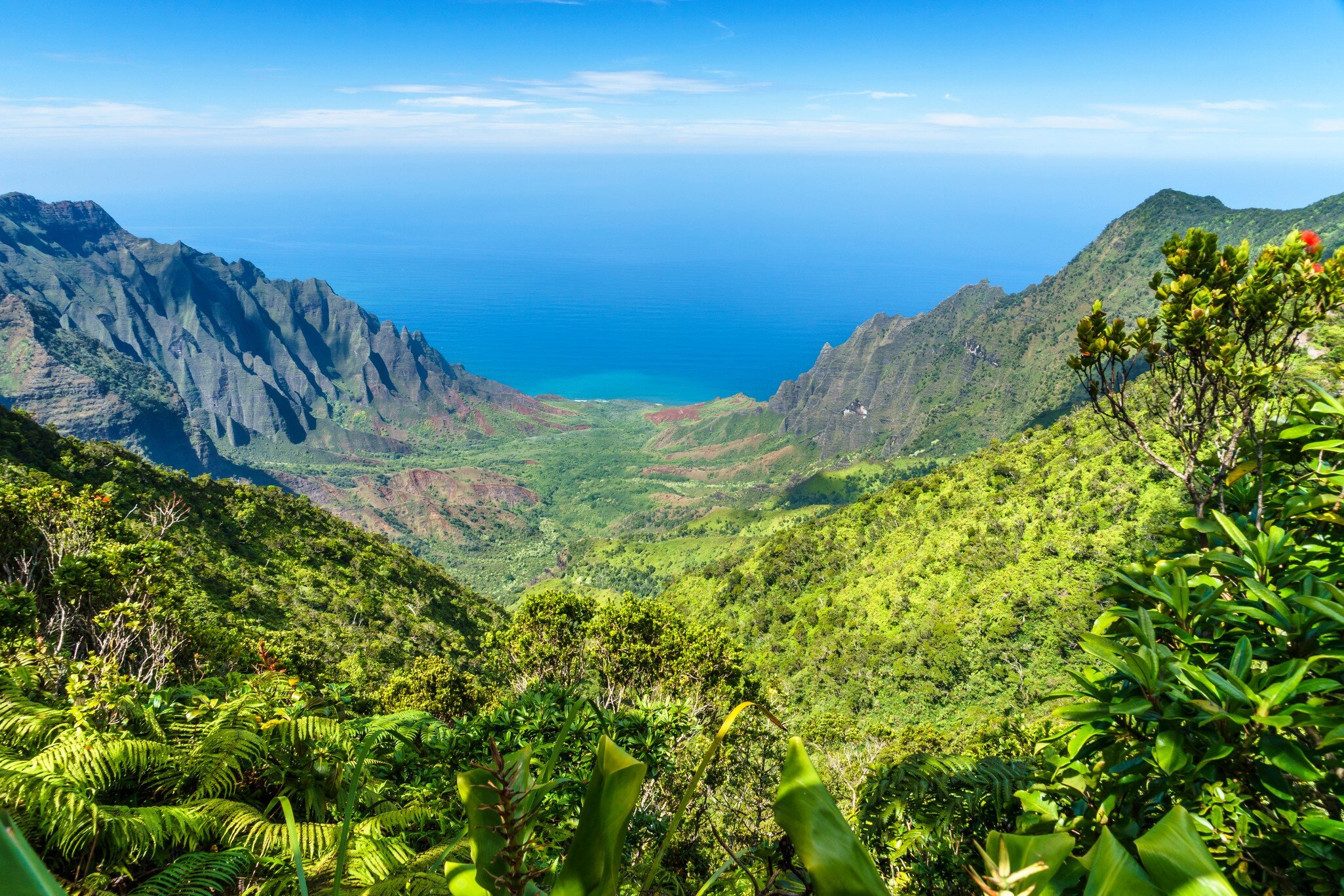 Puu O Kila Lookout on the Napali Coast, Waimea Canyon State Park, Kauai, Hawaii; Shutterstock ID 1221867661; purchase_order: 65050; job: ; client: ; other: