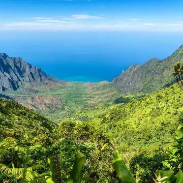 Puu O Kila Lookout on the Napali Coast, Waimea Canyon State Park, Kauai, Hawaii; Shutterstock ID 1221867661; purchase_order: 65050; job: ; client: ; other: