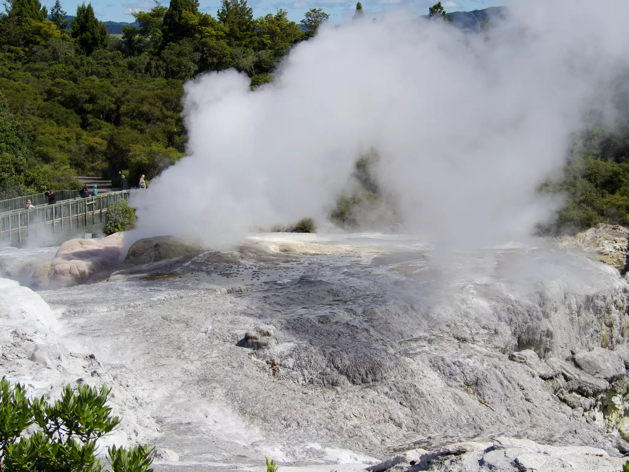 Steaming geysers at Te Puia in New Zealand.