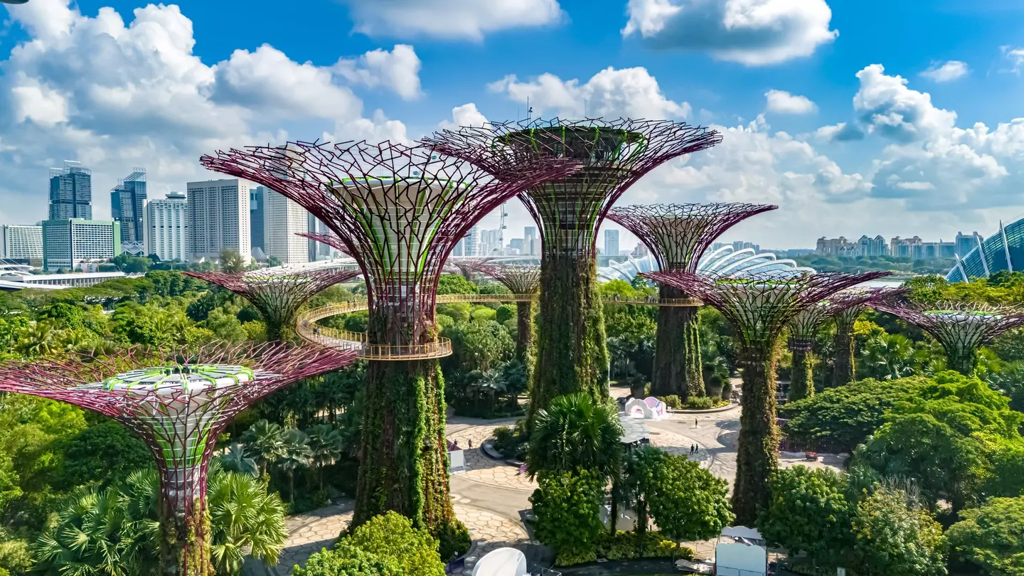 The futuristic skyline of the Gardens by the Bay in Singapore.