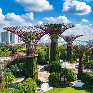 The futuristic skyline of the Gardens by the Bay in Singapore.