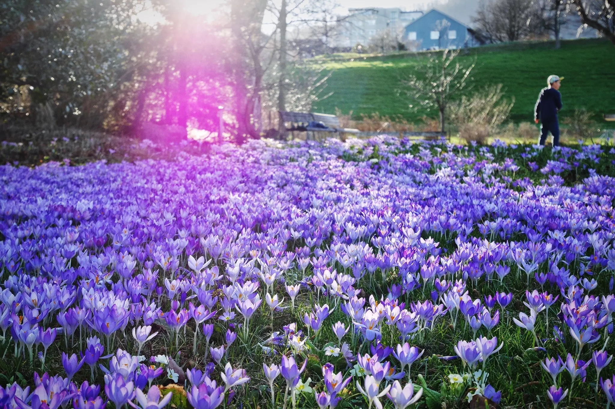 Zürich is bloom is a wonderful, calming time of year © Angelika Hirt / EyeEm
