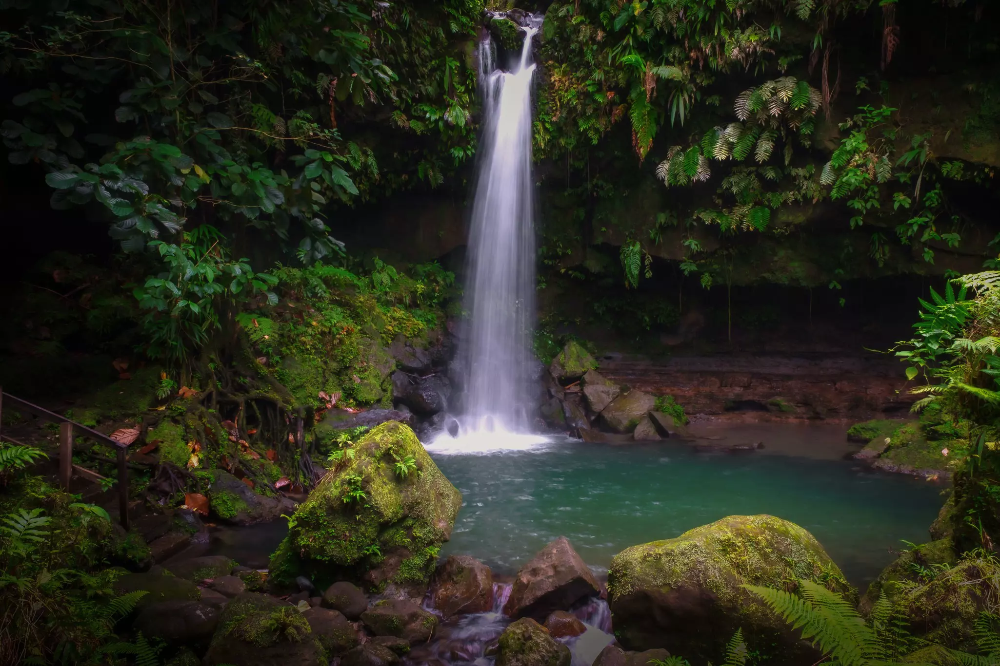 Two people underneath a waterfall that forms a small pool in a jungle.