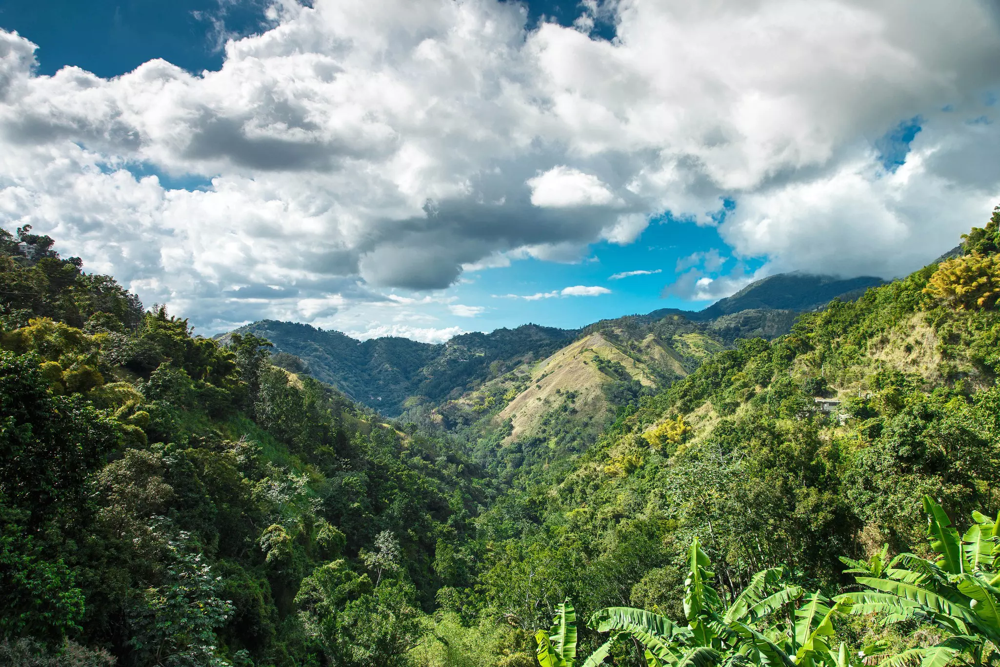 View over the Blue Mountains in Jamaica