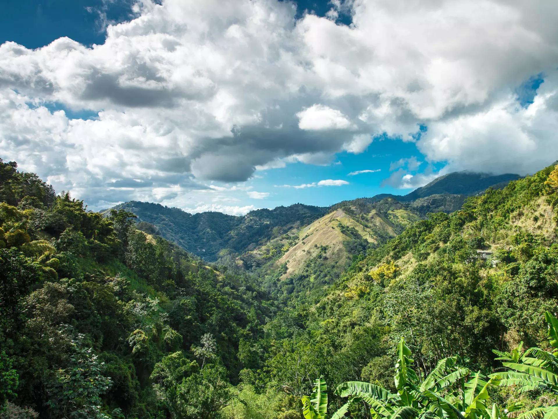 View over the Blue Mountains in Jamaica