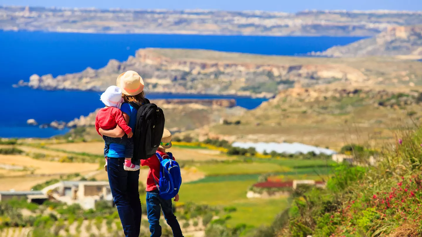A mother with two kids overlooking a scenic mountain vista, seen from the back