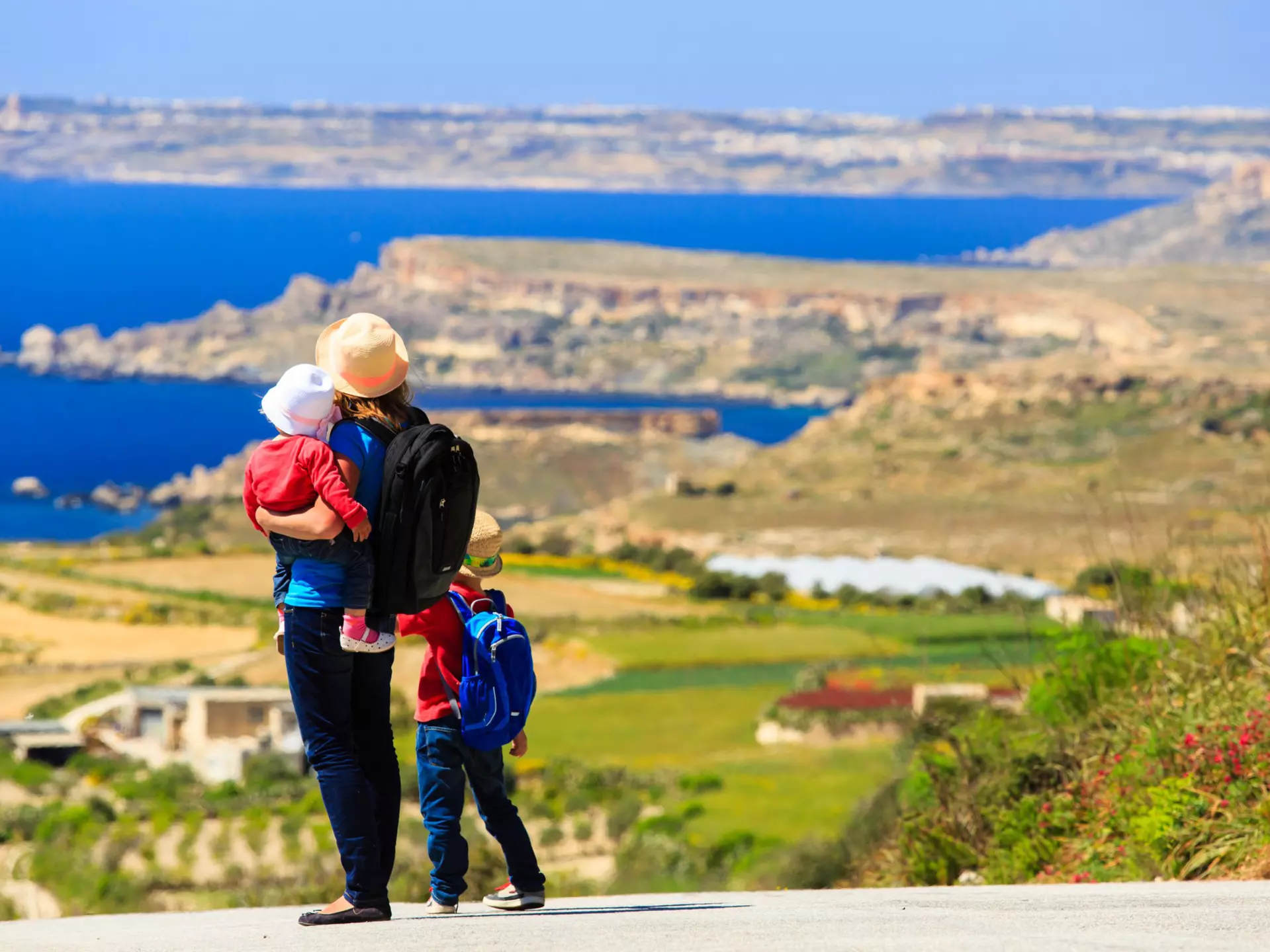 A mother with two kids overlooking a scenic mountain vista, seen from the back