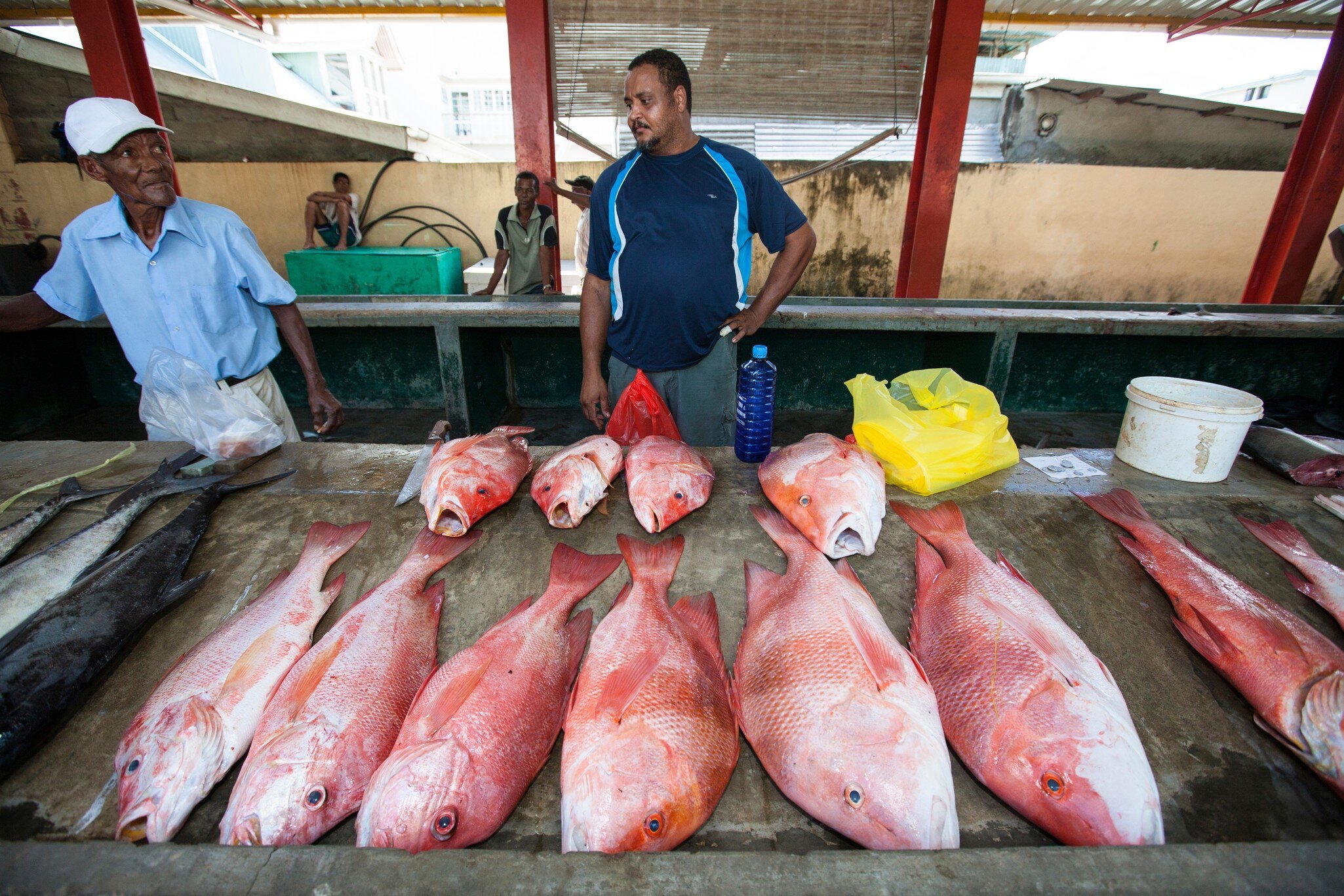Vendors selling fish from a covered market stall with red-painted pillars.
