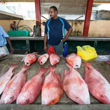 Vendors selling fish from a covered market stall with red-painted pillars.