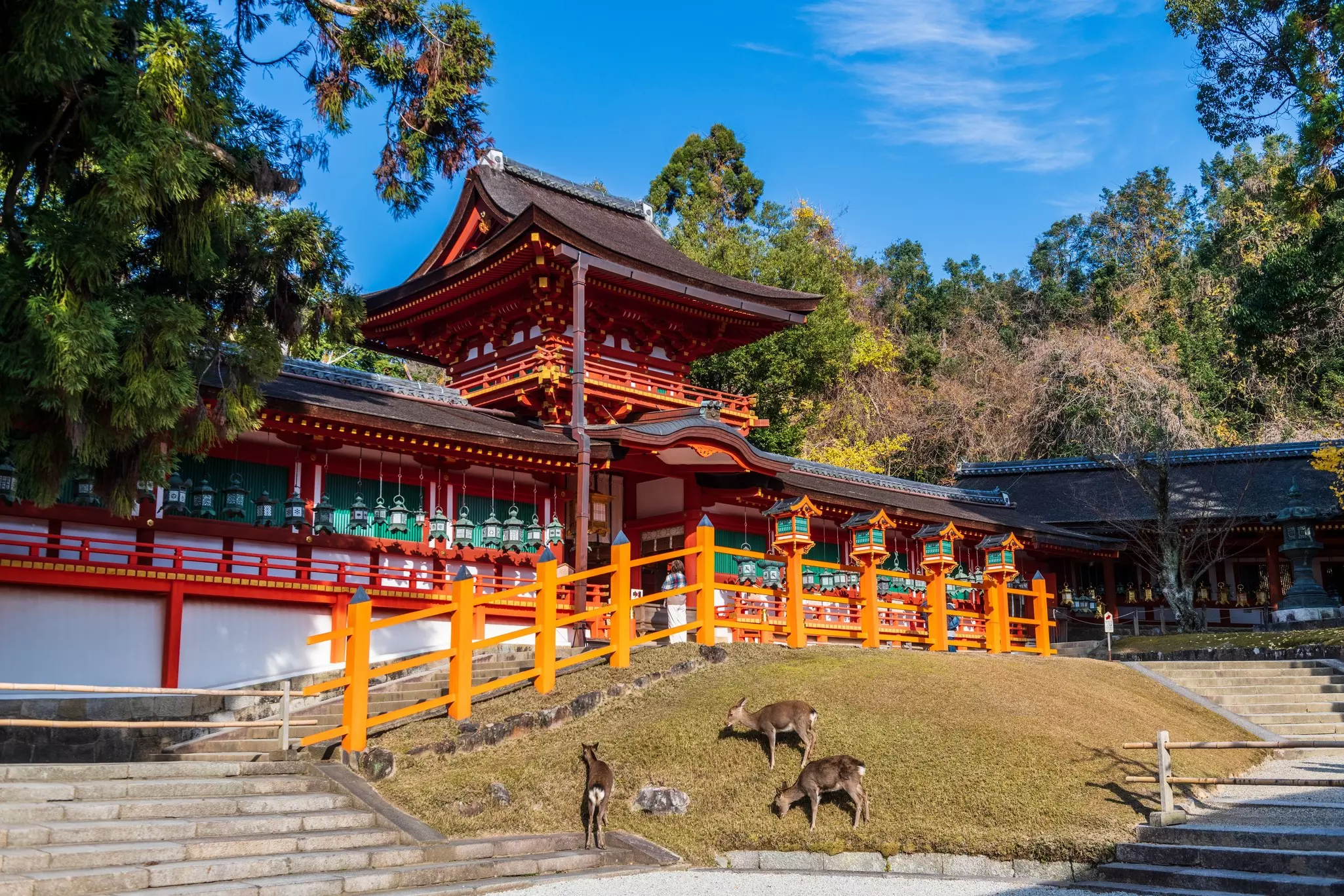 A temple complex in Japan is built on a slight hill reached by stairs with an orange railing. Three deer graze in a patch of grass between the stairs, below the railing.