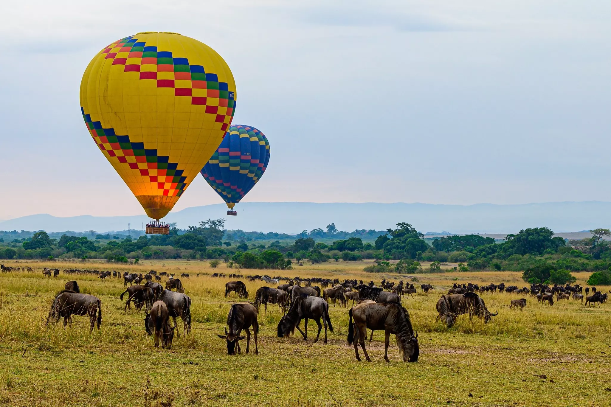 Masai Mara. Matrishva Vyas/Shutterstock