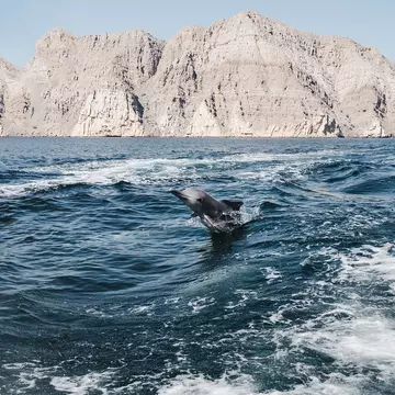 Consider an unexpected swimming holiday in 2023 – and share the waters of the coast of Oman with dolphins © Sviatlana Barchan / Getty Images