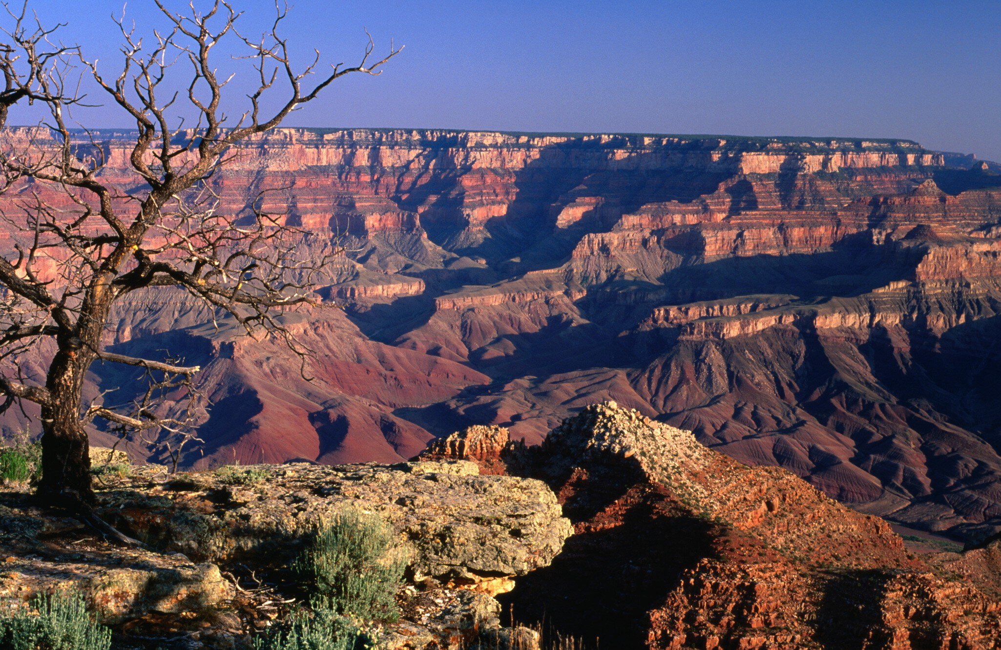 Navajo Point, Grand Canyon National Park.