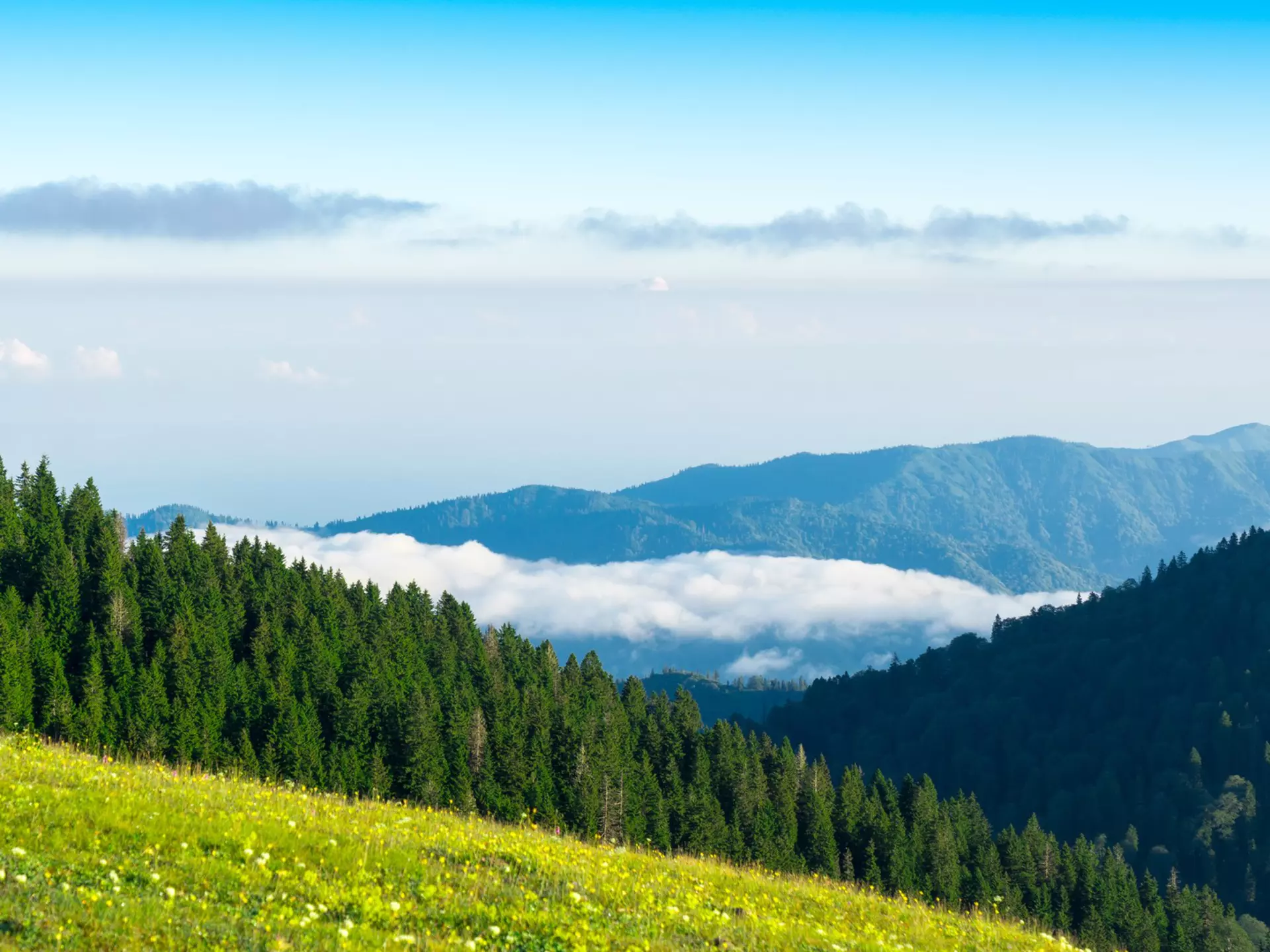Kaçkar Mountains National Park is just one of Turkey's national parks offering superb views. klenger/Shutterstock