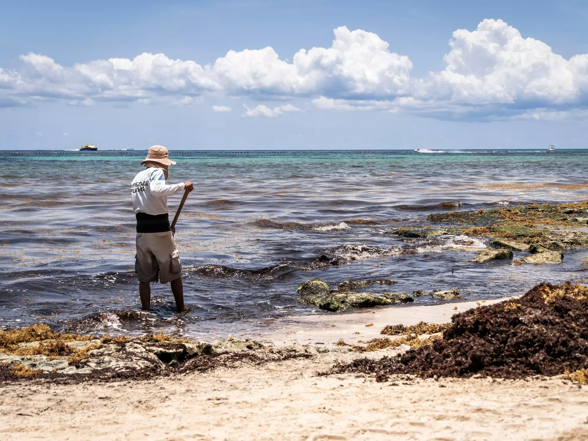 Cleaning sargassum on Playa del Carmen, Mexico. daniromphoto/Shutterstock