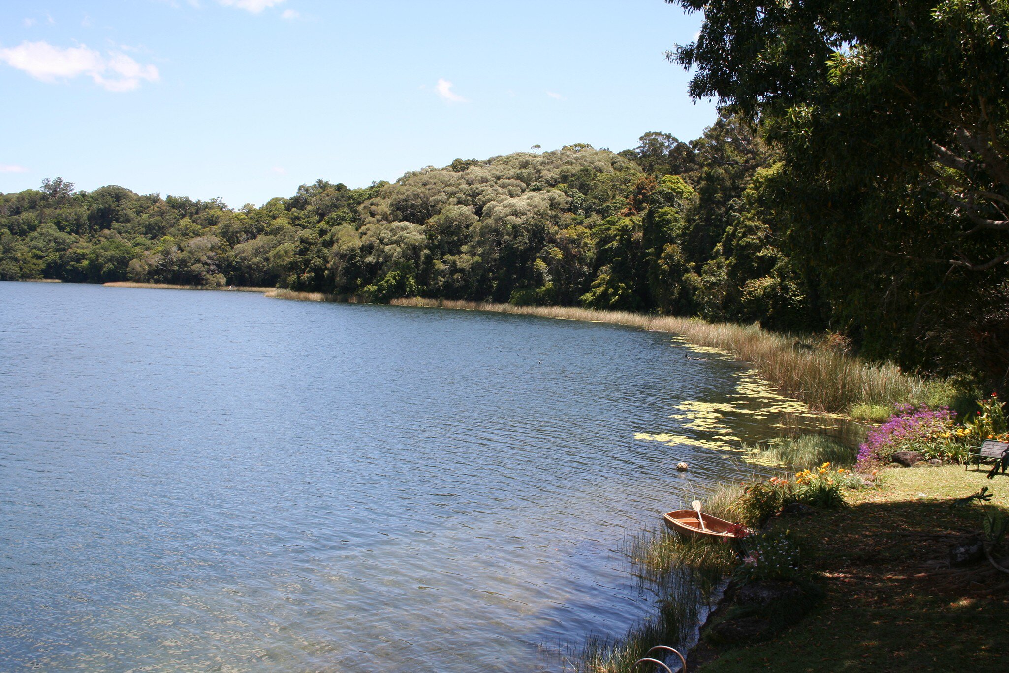 Lake Barrine in Crater Lakes National Park. Queensland, Australia.
