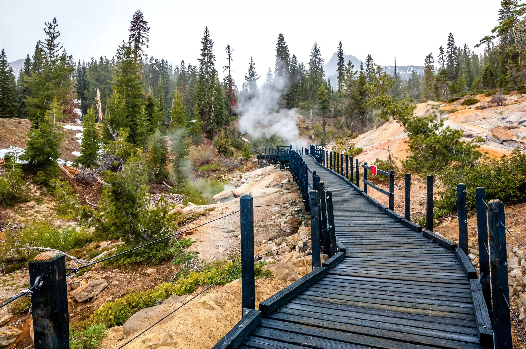 shutterstockRF_1180304431.jpg
