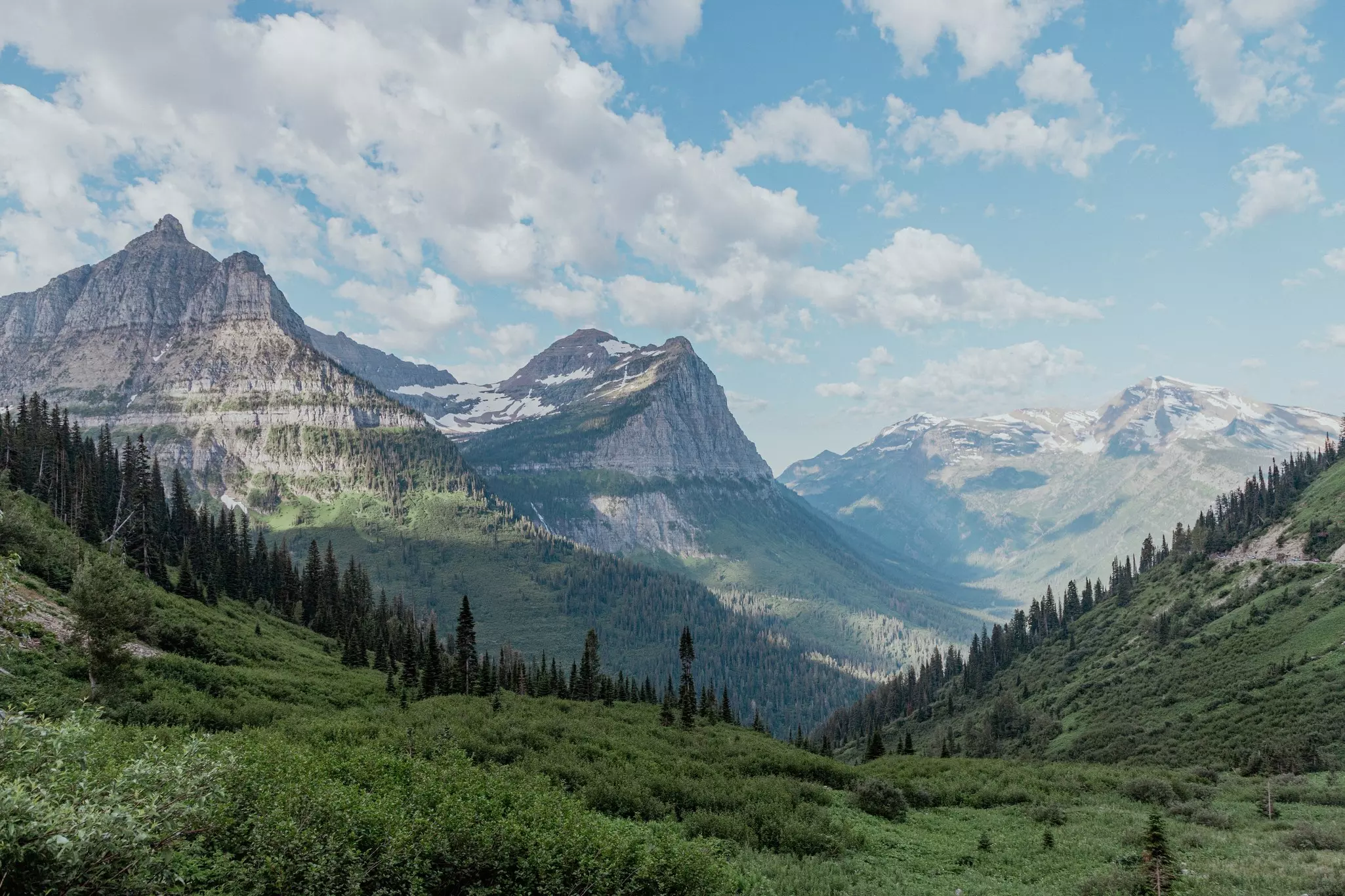Wide shot of tall rocky mountains with snow-capped peaks with grasses, bushes, and evergreens in the foreground.