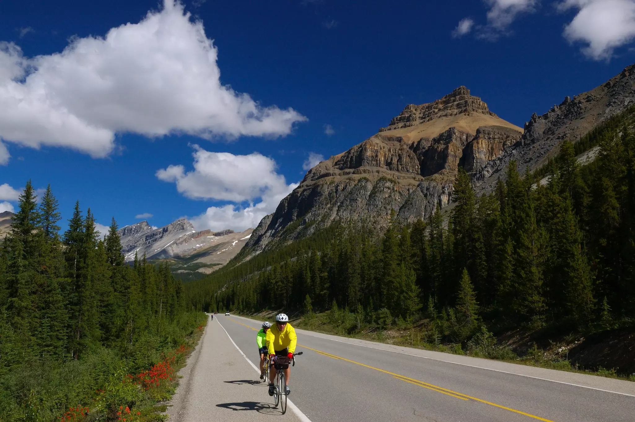 Bicyclists on the Icefields Parkway Banff National Park, Alberta, Canada.