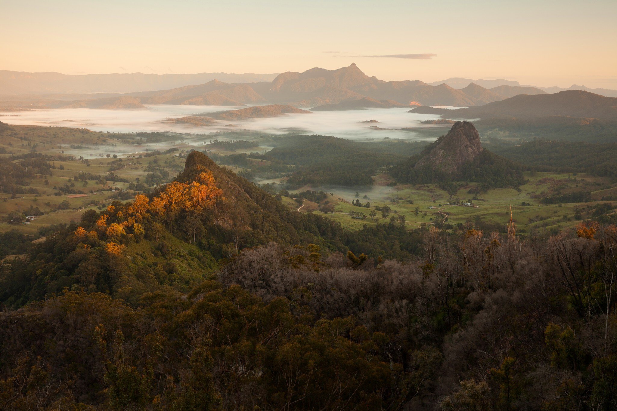 Morning Mist and sunrise - view to Mount Warning, Wollumbin, Mebbin, Border Ranges, Mount Jerusalem National Park, Nightcap, Doon Doon, Uki, Tweed Valley. Byron Bay Hinterland - NSW, Australia  License Type: media  Download Time: 2024-04-11T09:26:22.000Z  User: meg3348277  Is Editorial: No  purchase_order:   