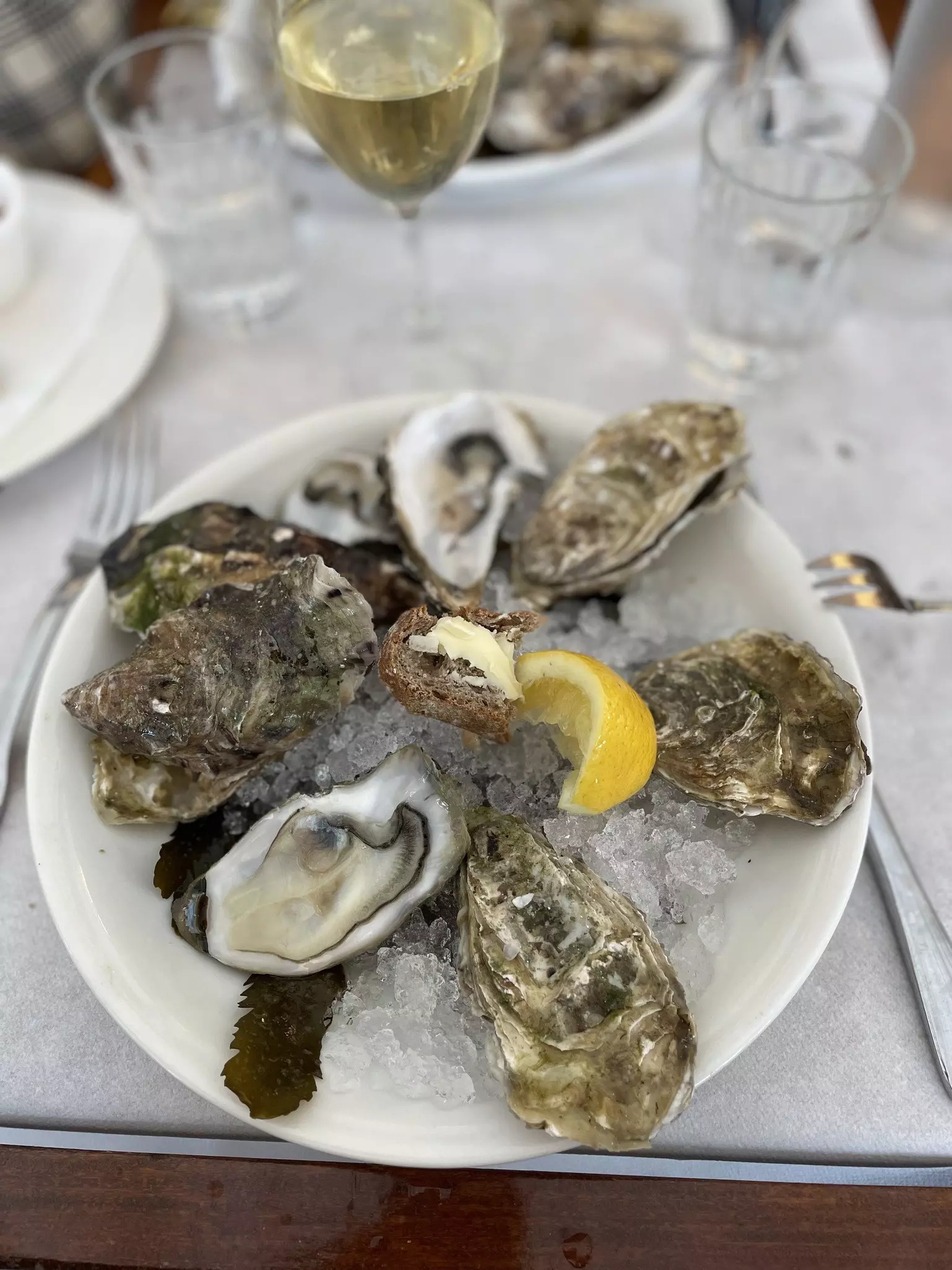 A plate of oysters on ice with lemon wedges, and a glass of wine