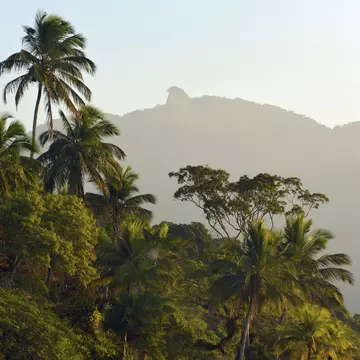 Coastal rainforest of Brazil's Costa Verde with Mt Pico do Papagaio, Ilha Grande, State of Rio de Janeiro, Brazil