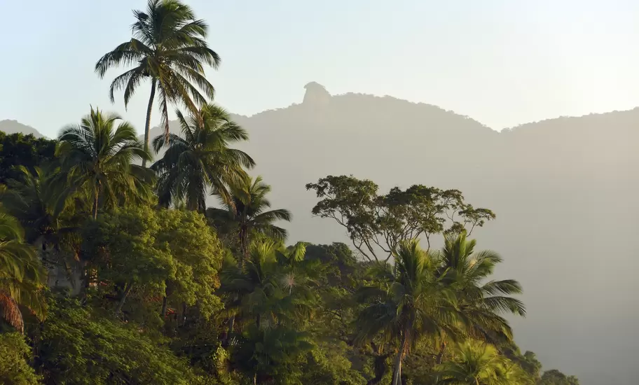 Coastal rainforest of Brazil's Costa Verde with Mt Pico do Papagaio, Ilha Grande, State of Rio de Janeiro, Brazil