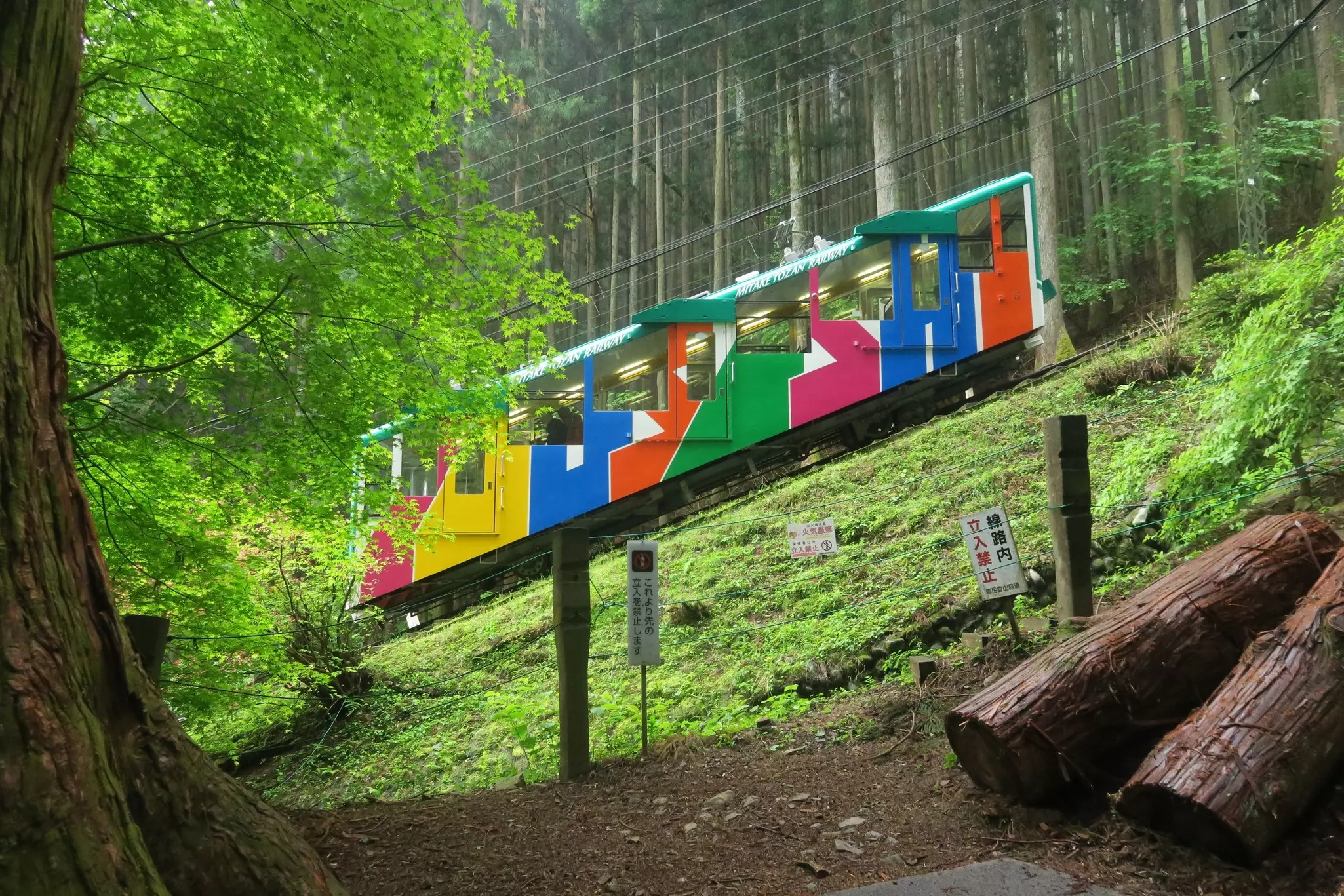 Colorful cable car on a steep slope in green forest on an overcast day.