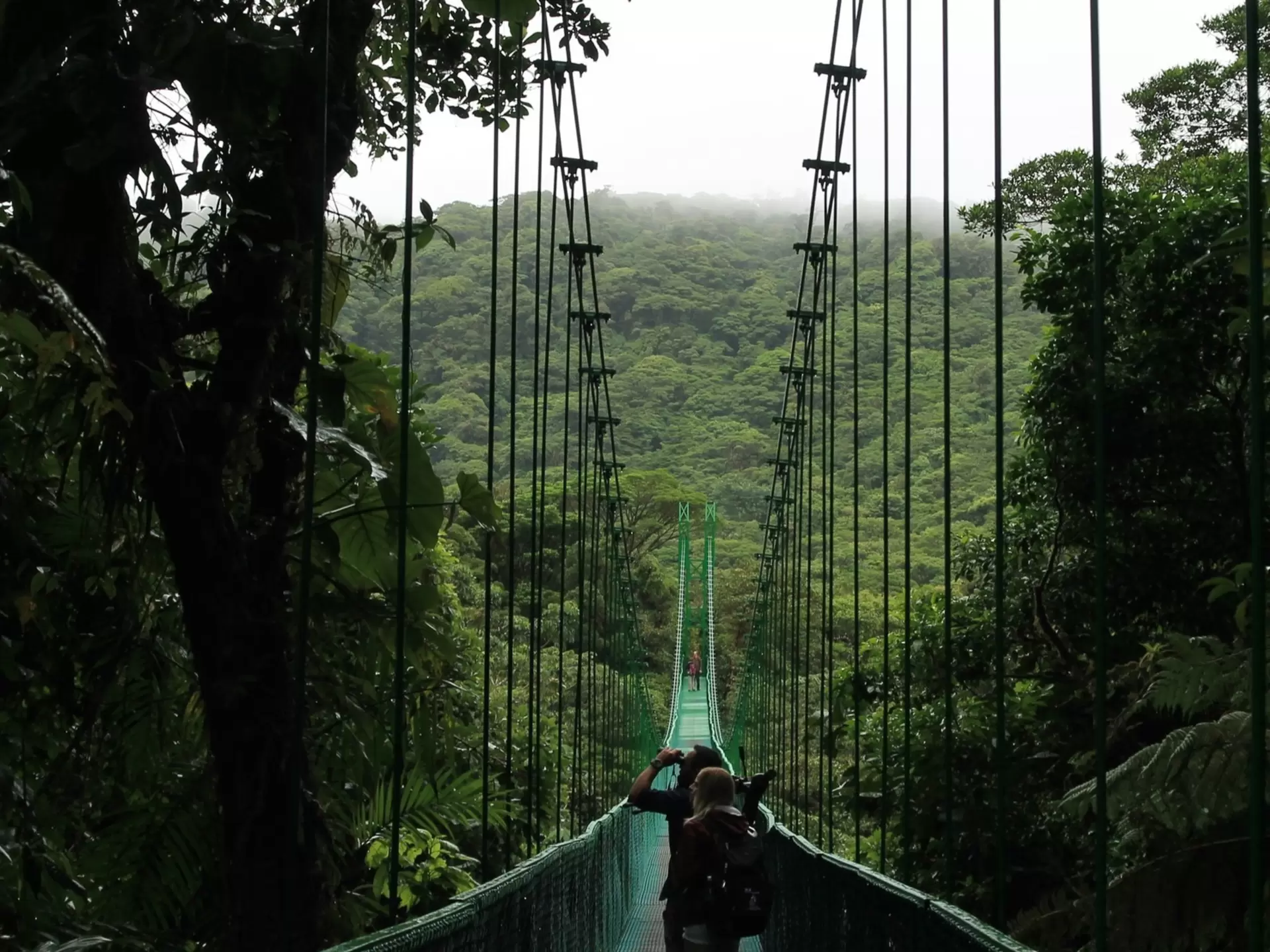 People walk down a long green bridge towards a green forest, with clouds among the treetops