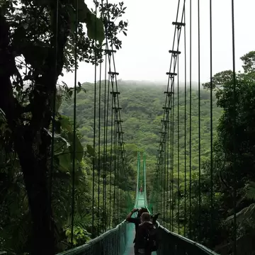 People walk down a long green bridge towards a green forest, with clouds among the treetops