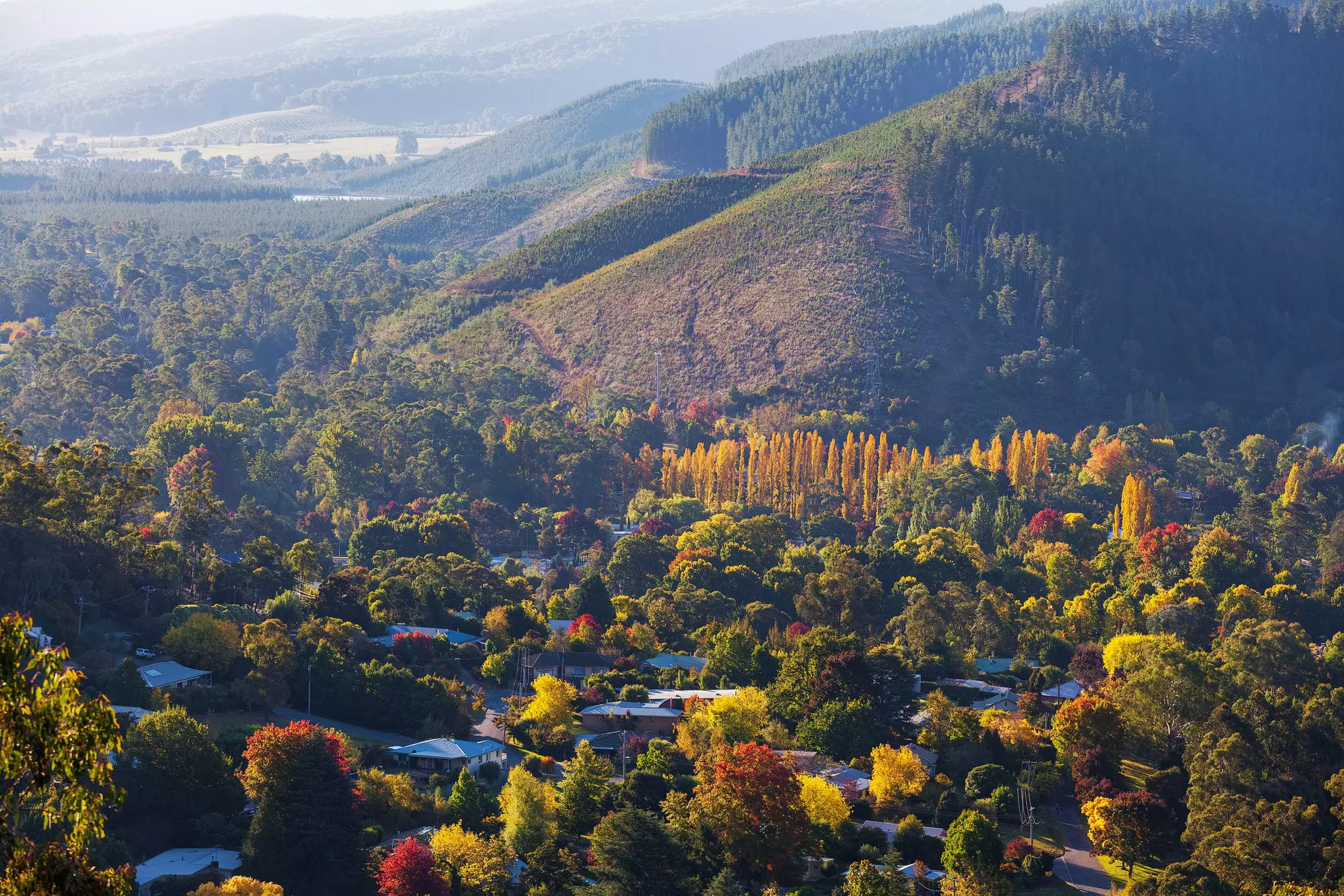 Rural Australian town in Autumn colors. Bright, Victoria, Australia.