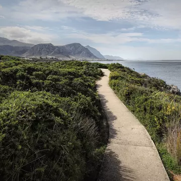 Beautiful ocean and rocky coast landscape in Hermanus, South Africa