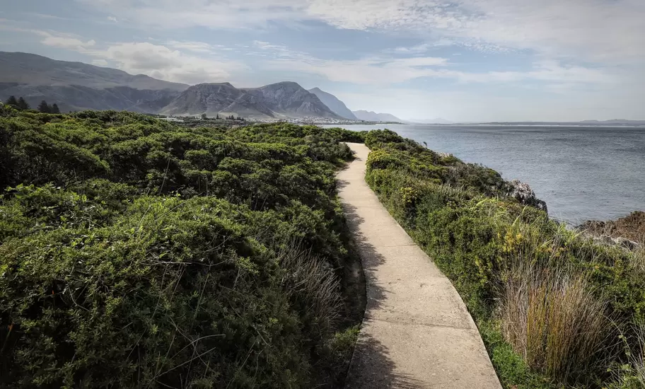Beautiful ocean and rocky coast landscape in Hermanus, South Africa
