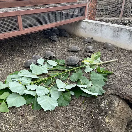 Darwin Research Center