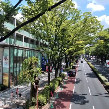 Tokyo, Japan (August 18, 2013)Omotesando's tree-lined streets are filled with beautiful shops, cafes and great restaurants., License Type: media, Download Time: 2026-04-03T14:42:33.000Z, User: esterpyykko45, Editorial: true, purchase_order: 65050 - Digital Destinations and Articles, job: Lonely Planet, client: app content, other: Ester Pyykko