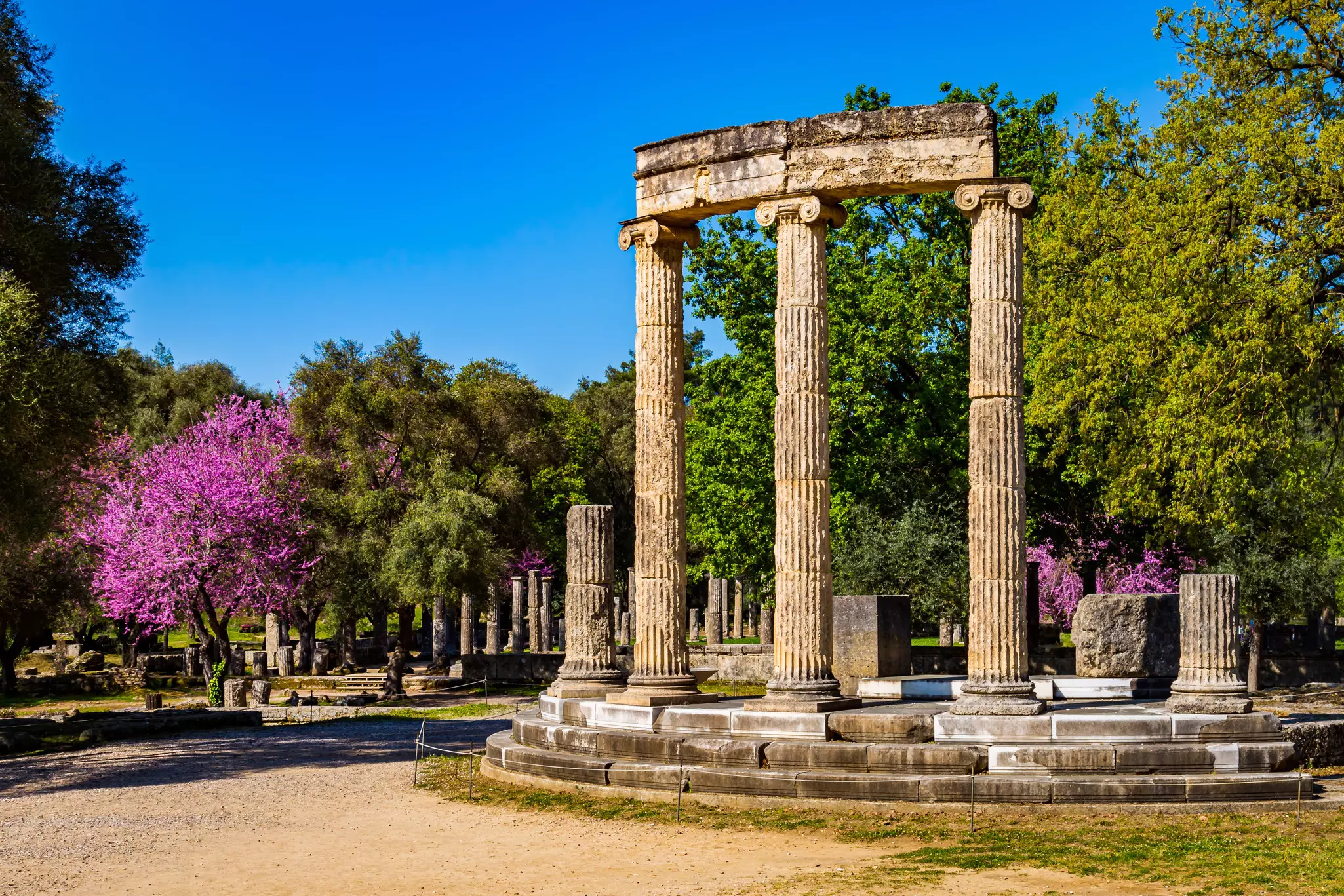 Ancient columns stand at an archaeological site with trees in bloom in strong pinks contrasting with the blue sky