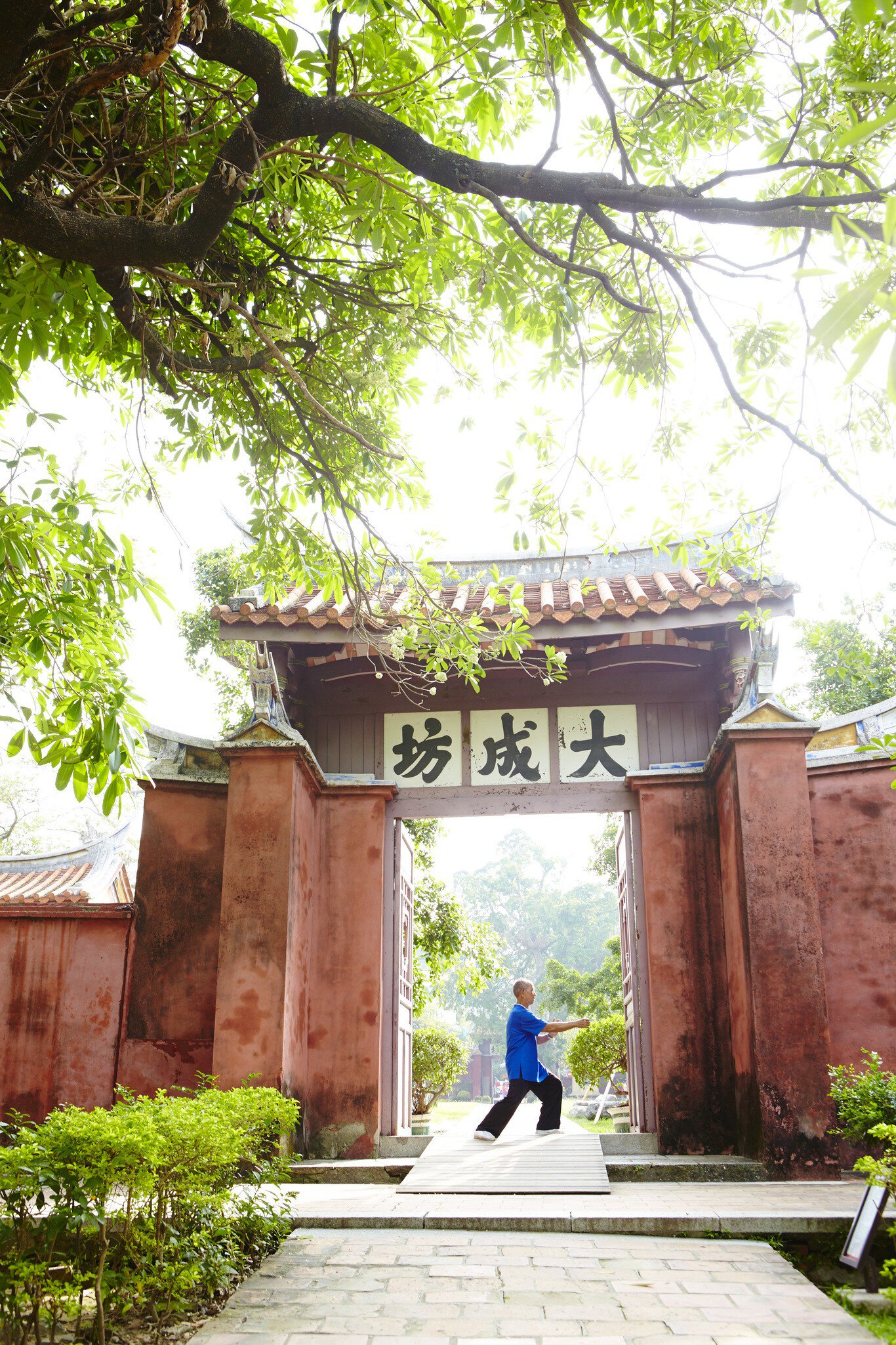 Man in a blue shirt doing tai chi in a red brick gateway with a tiled roof and Chinese characters, under branches, Tainan.